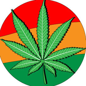 Marijuana Leafs Vector - vector #213025 gratis