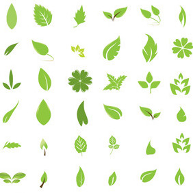 Green Leaf Design Elements - Free vector #214335