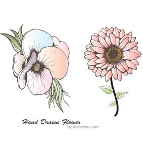 Hand Drawn Flower 11002 - бесплатный vector #217415