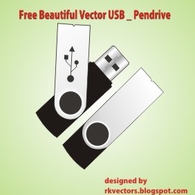 Beautiful Vector USB Pendrive - vector gratuit #219155 