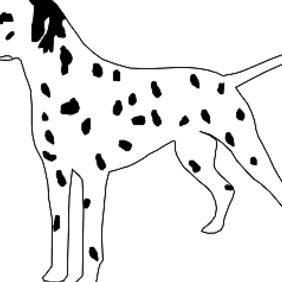 Dalmatian Dog - бесплатный vector #222685