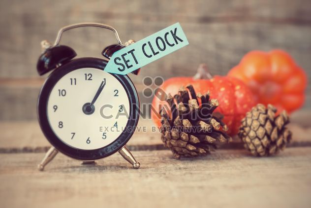 Black alarm clock with text reset clocks, pine cones and pumpkins on wooden background - image #271595 gratis