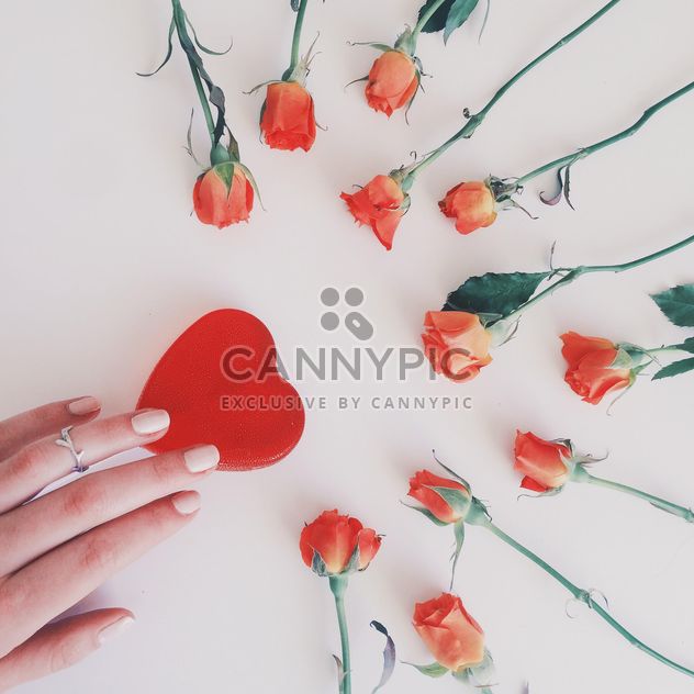 Red roses and female hand touching red heart - Free image #271765