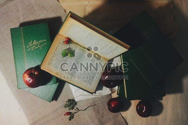 Books, rosehip and apples on the table, #apples - image #272165 gratis