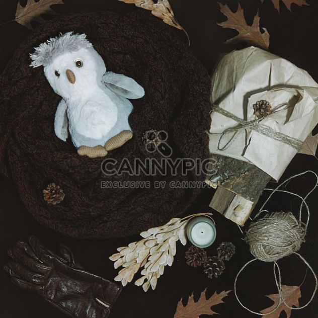 Warm scarf, gloves and dry leaves - image gratuit #272225 