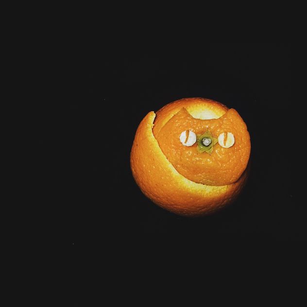 cat made of tangerine peel on a black background - бесплатный image #272255
