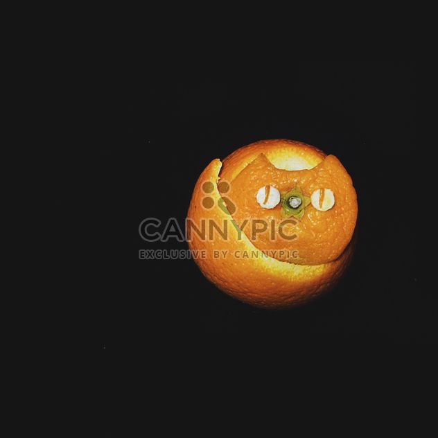 cat made of tangerine peel on a black background - бесплатный image #272255