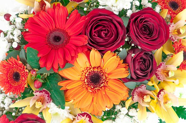 Gerberas and roses background - image #272585 gratis