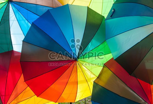 Rainbow umbrellas - Free image #273145