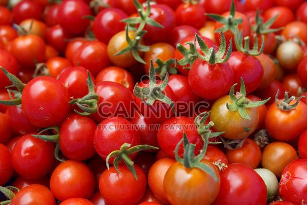 Pile of tomatoes - image gratuit #274865 