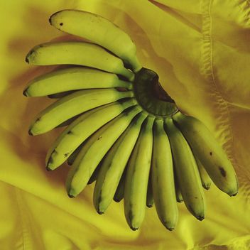Yellow Bananas - image #275075 gratis