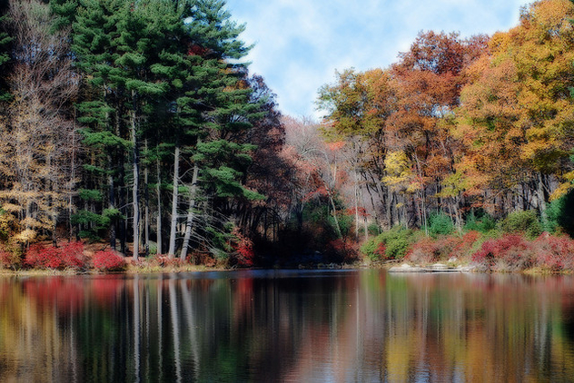 Autumn at the Lake - image #277665 gratis