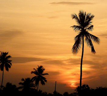 Sun at Dawn - image #278835 gratis