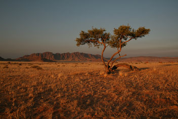 Sossusvlei region Landscape - Free image #278935