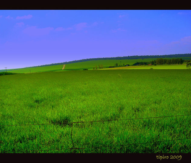 Green Pastures - image gratuit #279585 