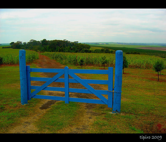 The Blue Gate - image gratuit #279935 