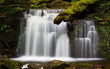 Strickland Falls - Tasmania, Australia - бесплатный image #279985
