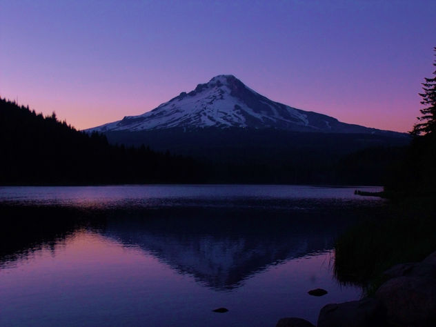 Mt. Hood @ sunset from Trillium Lake - Free image #280135