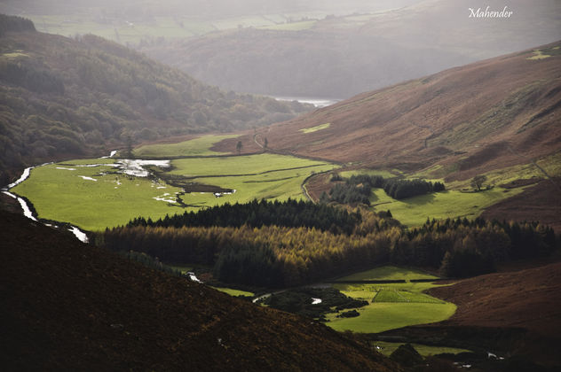 Beautiful view near Guinness lake in Wicklow mountain - Kostenloses image #280665