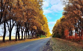 Autumn road - image #280925 gratis