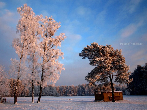 Countryside Winterscape - Free image #287325