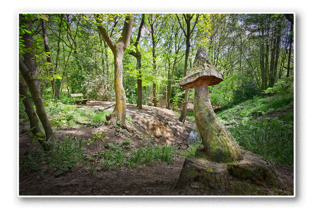 The seat and toadstool - Free image #288295