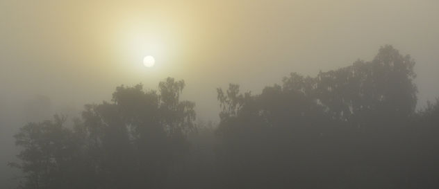 Sunrise in the mist - бесплатный image #289425