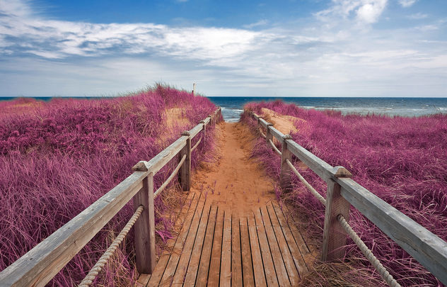 Pink Beach Boardwalk - image #290045 gratis