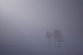 Foggy vistas - Free image #290195