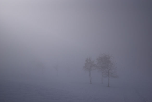 Foggy vistas - Free image #290195