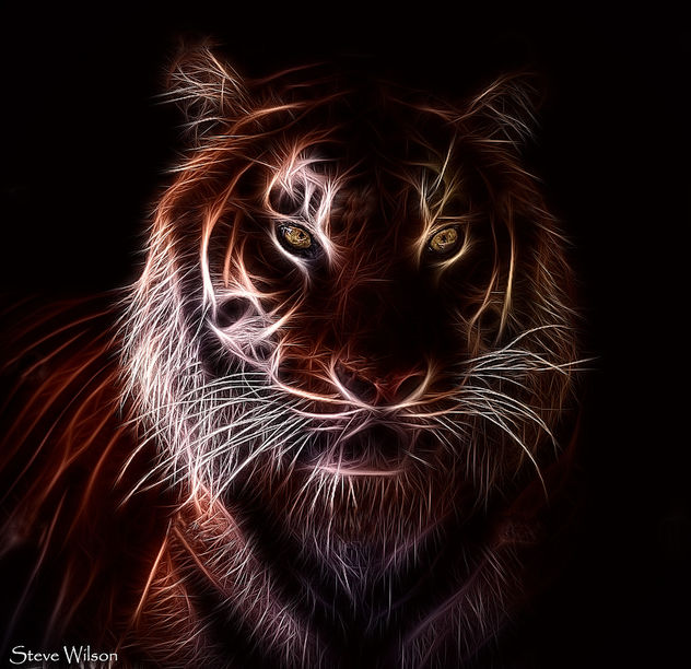 Tiger on Fire - image #290905 gratis