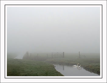 Misty morning - Free image #291165