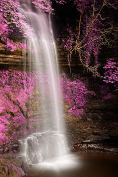 Pink Glencar Falls - HDR - Free image #293325