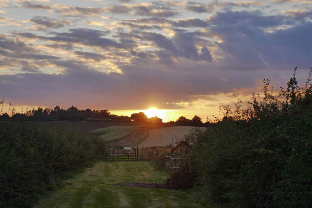 Sun Setting Over the Fields - Kostenloses image #293715