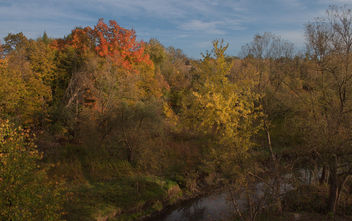 Fall colors in the morning - Kostenloses image #294295