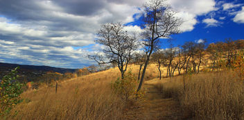 Prairie Grass Trail (4) - Free image #294525