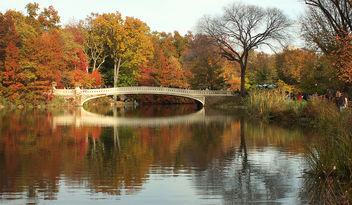 Fall in Central Park - Kostenloses image #294735