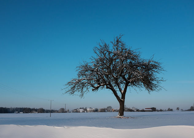 On a winter day... - Free image #295505