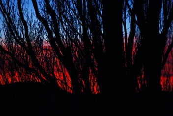 ...magic sunset... - бесплатный image #295545