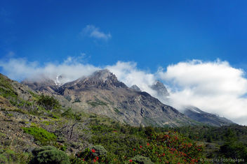 Torres del Paine - бесплатный image #296465