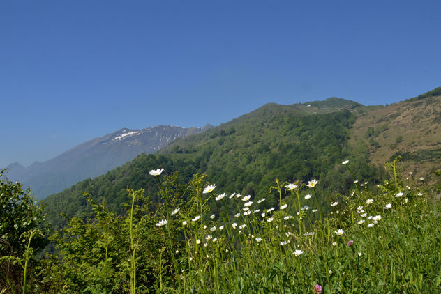 Alpe di Naccio e Gridoni - Kostenloses image #298565