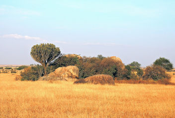 Tanzania (Serengeti National Park) Kopjes, the great granite mass, are an attractive feature of the Serengeti landscape - бесплатный image #300905