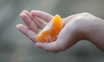 peeled tangerine in hand - image gratuit #301975 