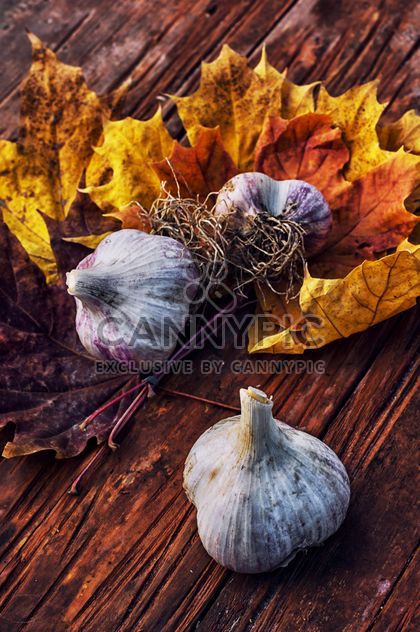 Garlic and yellow leaves - image gratuit #302035 
