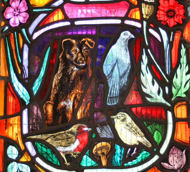 Local Wildlife - stained glass window, Dornoch Cathedral #2 - image gratuit #306035 