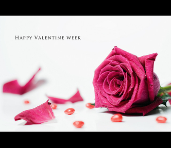 5/52 Happy Valentine Week :) - image gratuit #308645 