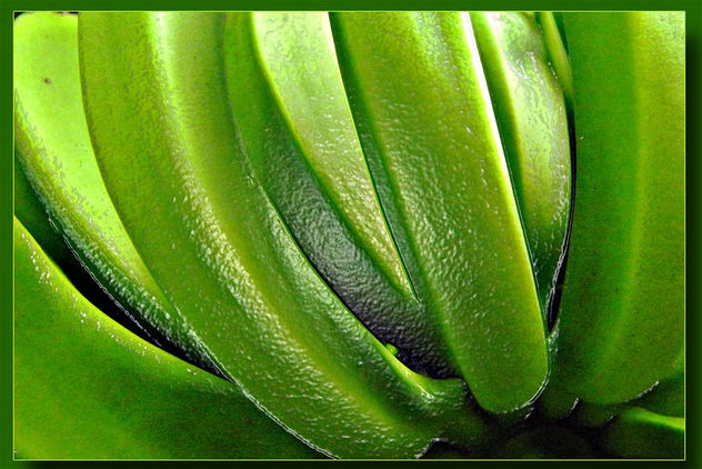 Green bananas - Kostenloses image #309225
