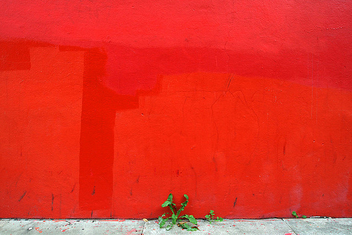 Red Wall - Free image #309565