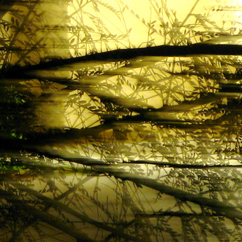A fractal night on my street - бесплатный image #309735