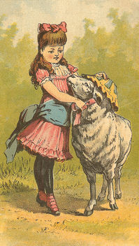 Mary's Lamb - Free image #310525